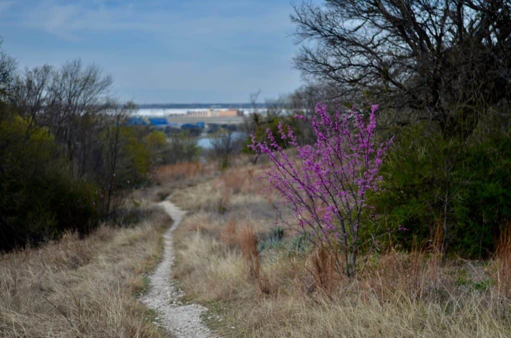 Marion Samson Trail